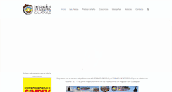 Desktop Screenshot of fiestasdesanroque.com